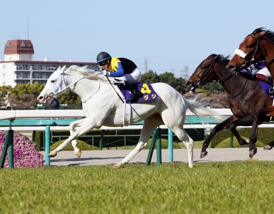 Sodashi - Oka Sho Stakes - Japan Racing Association