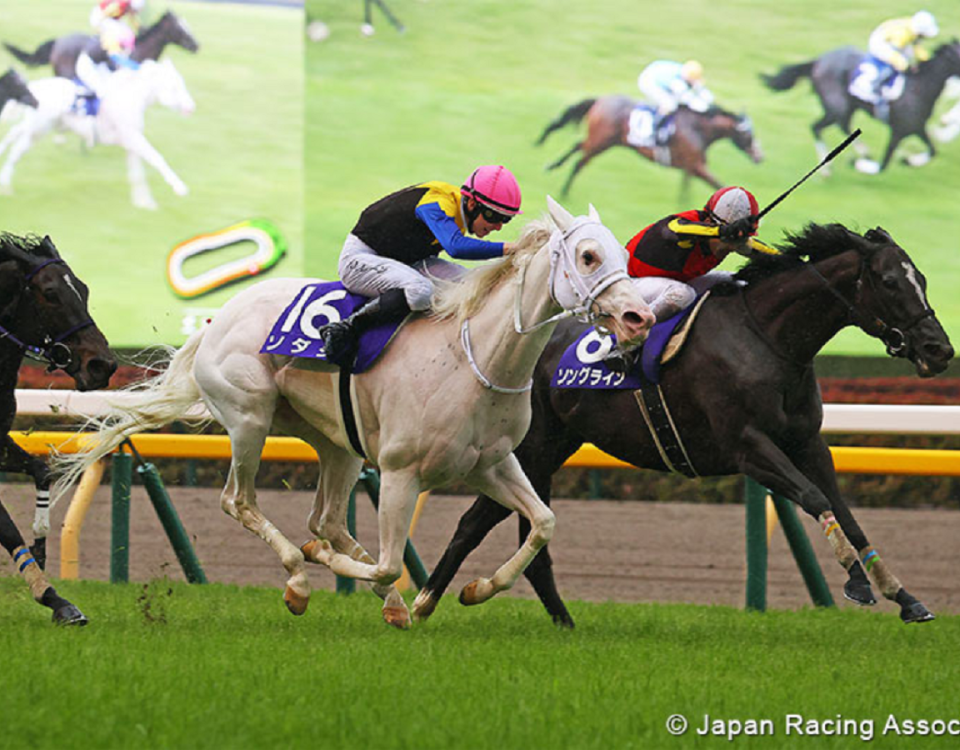 Songline (JPN) - Victoria Mile - Japan Racing Association