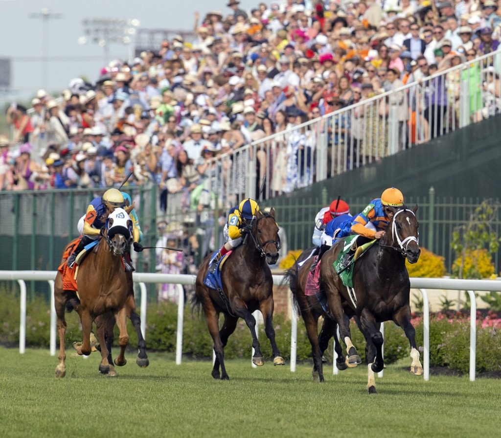 Up to the Mark - Turf Classic - Barbara D. Livingston