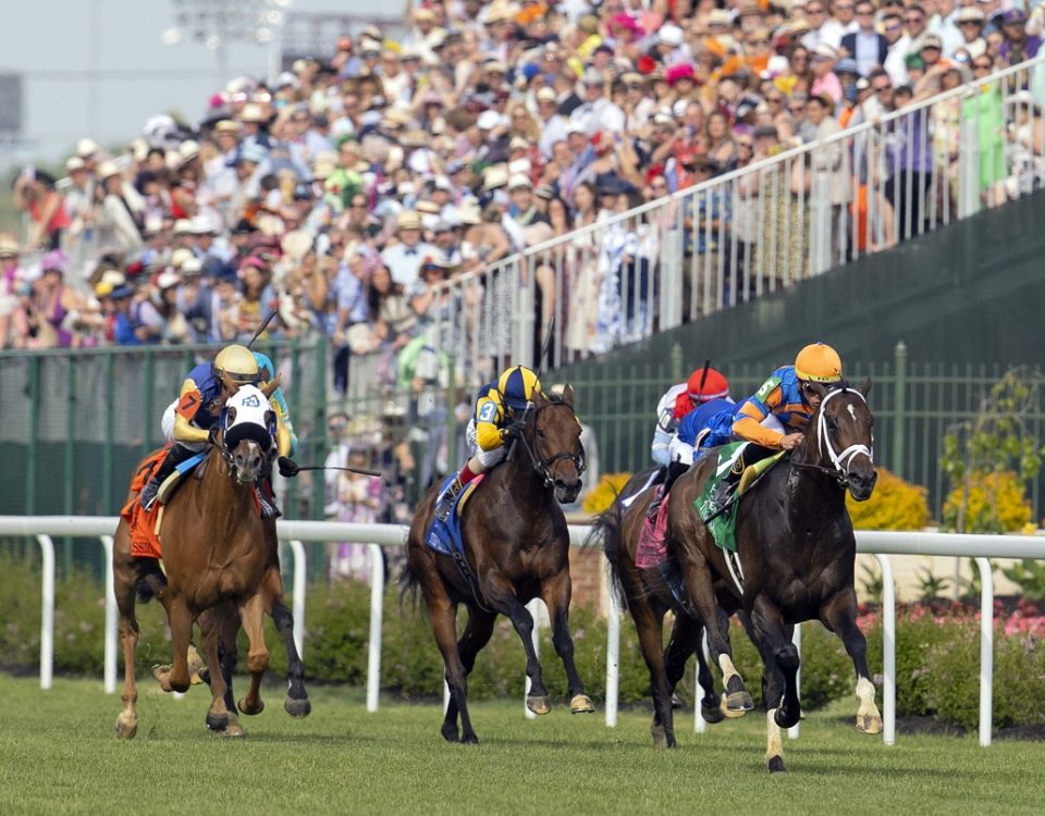 Up to the Mark - Turf Classic - Barbara D. Livingston