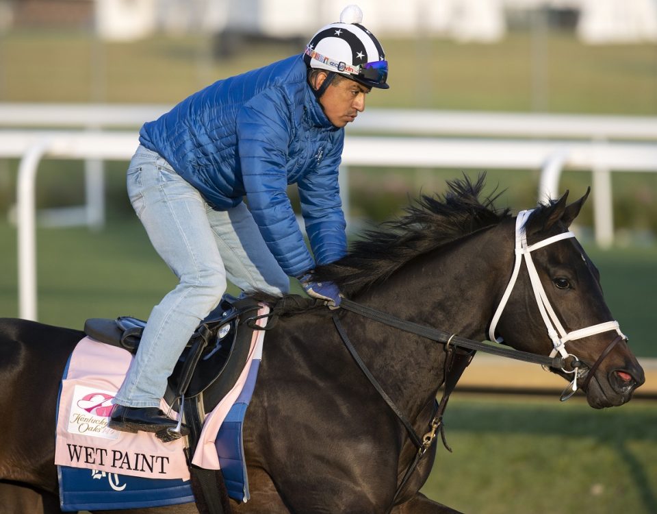 Wet Paint - Churchill Downs - Barbara D. Livingston