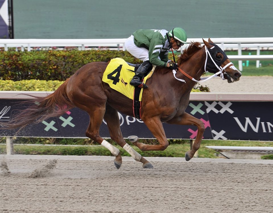 Dean Delivers - Gulfstream Park - Lauren King