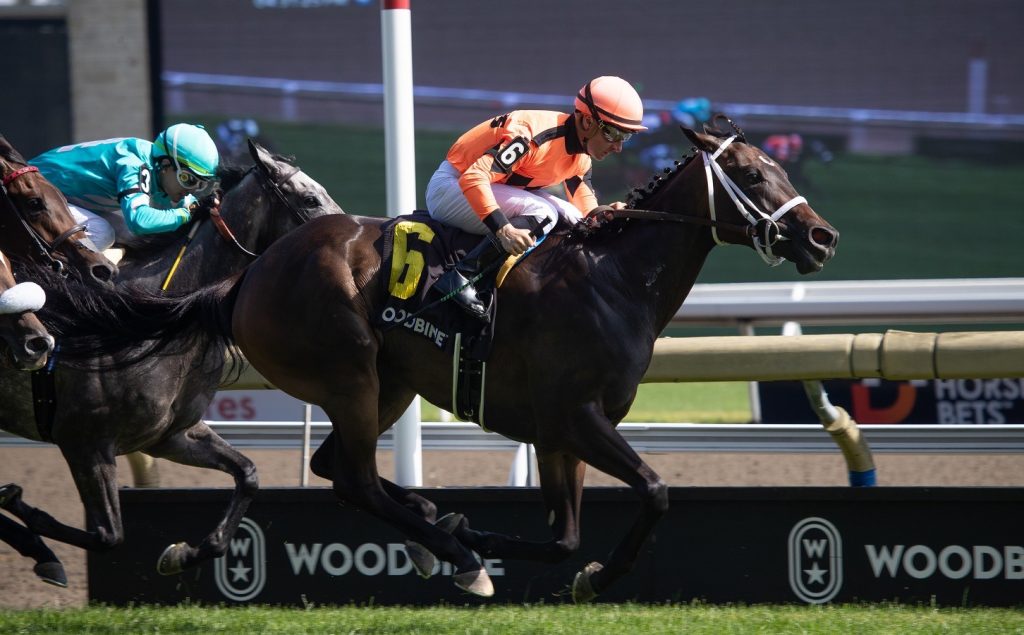 Mohawk Trail - Alywow Stakes - Credit - Julie Wright