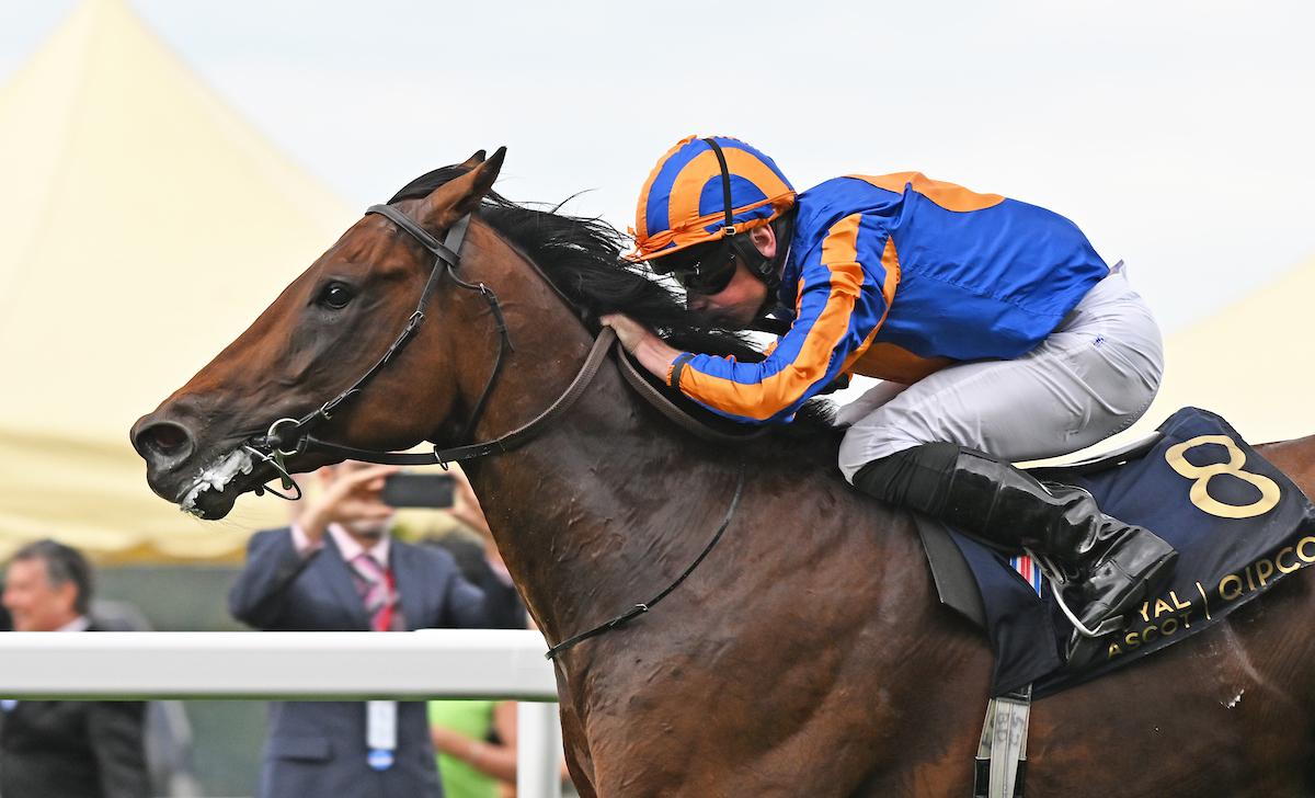 Paddington wins the St James's Palace Stakes - credit Megan Ridgwell