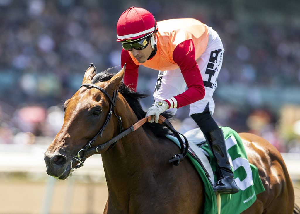 Planetario (Brz) - San Juan Capistrano Stakes G3T - Benoit Photo