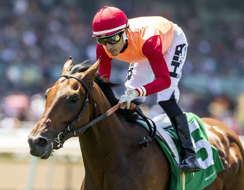 Planetario (Brz) - San Juan Capistrano Stakes G3T - Benoit Photo