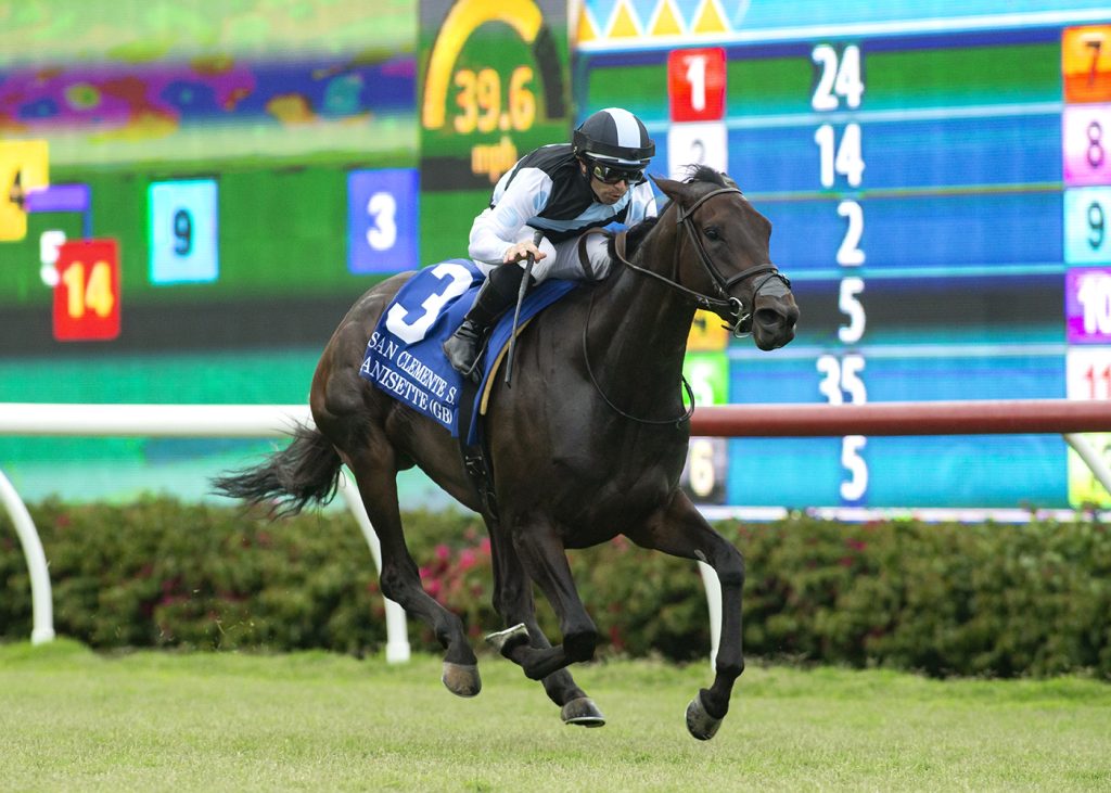 Anisette - San Clemente G2 - Del Mar - Benoit Photo