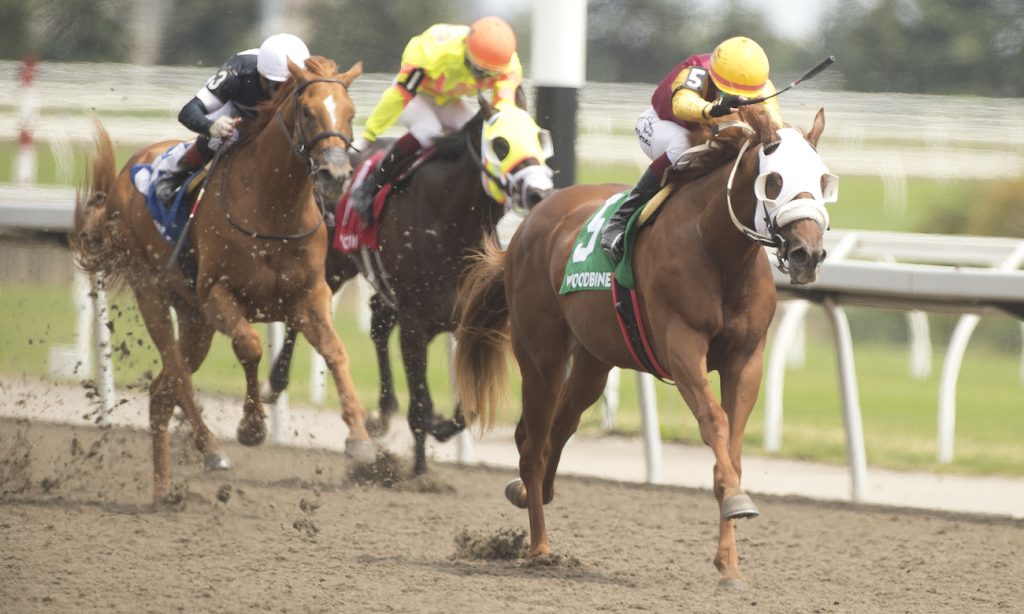 Poulin in O T - Victoria Stakes (Woodbine) - Credit: Michael Burns Photo