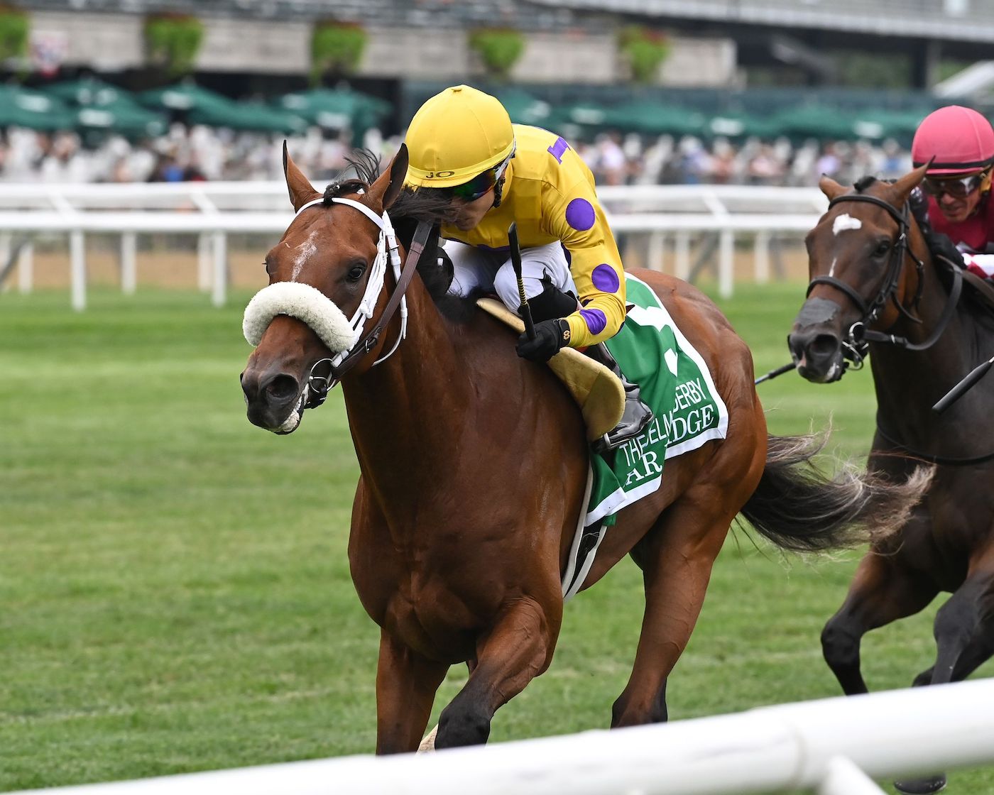 Far Bridge volvió a la senda ganadora en el Belmont Derby Invitational