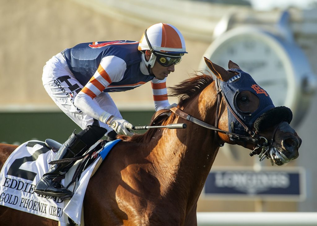 Gold Phoenix - Eddie Read S. - Benoit Photo