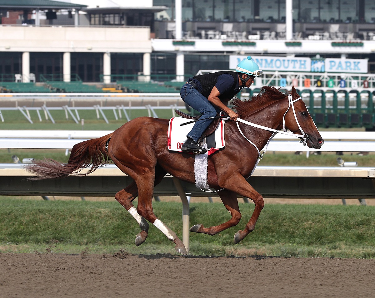 Los ocho competidores del Haskell Stakes G1 DRF en Español