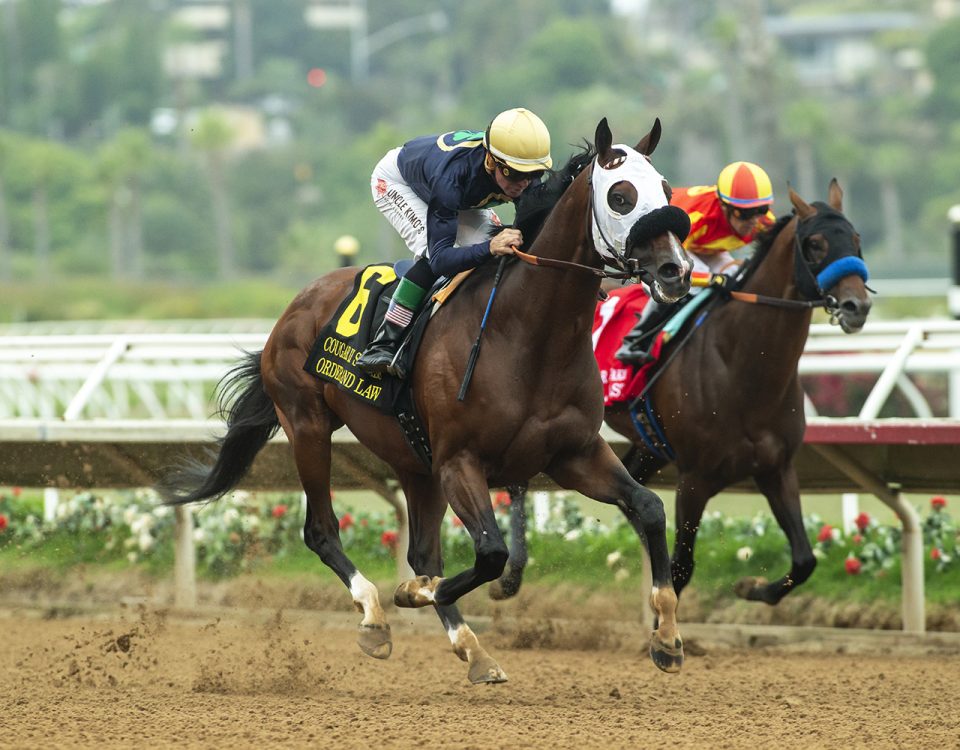 Order and Law - Grade 3 $125,000 Cougar II Stakes - Benoit Photo