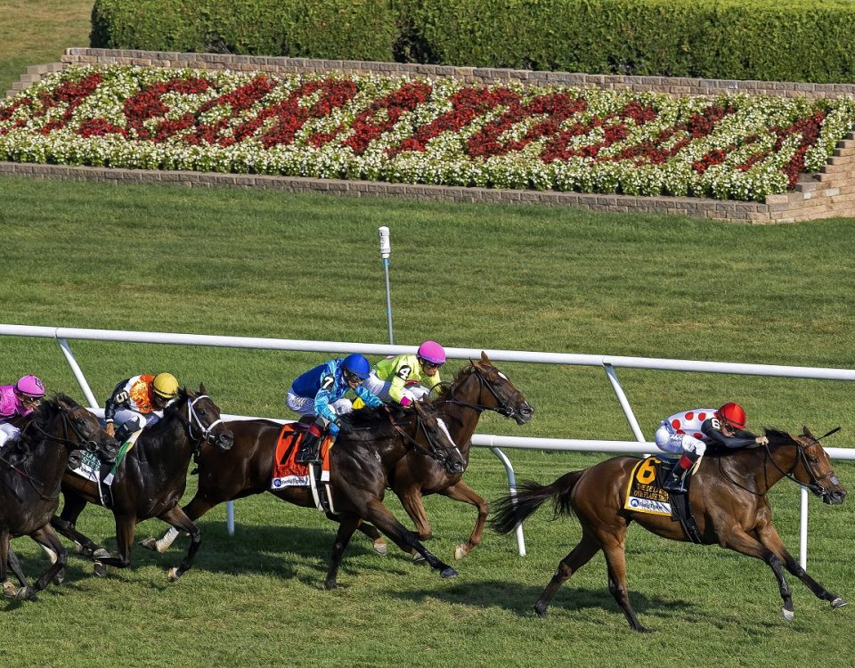 Saratoga - Turf Action - Barbara D. Livingston