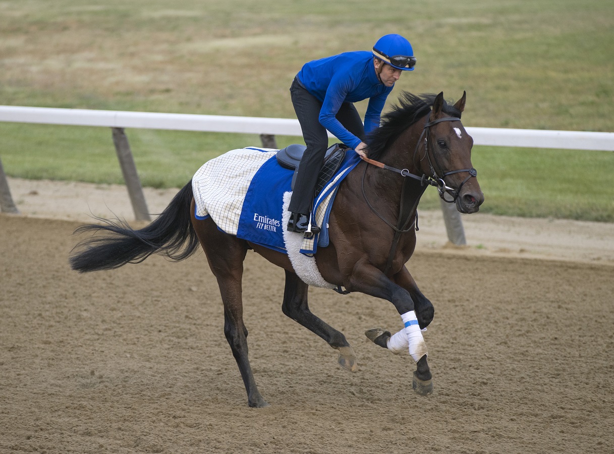 Este sábado se disputan el Belmont Derby y las Belmont Oaks | DRF en ...