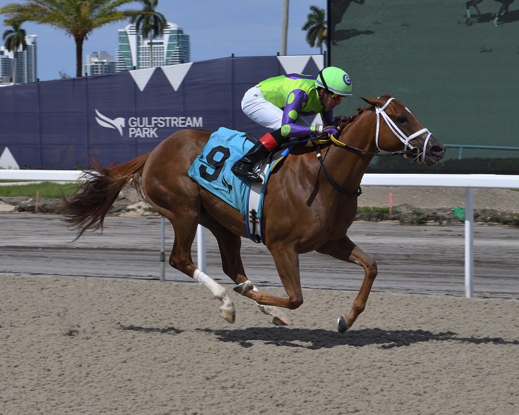 Transient - the Powder Break - credit Lauren King - Coglianese Photo