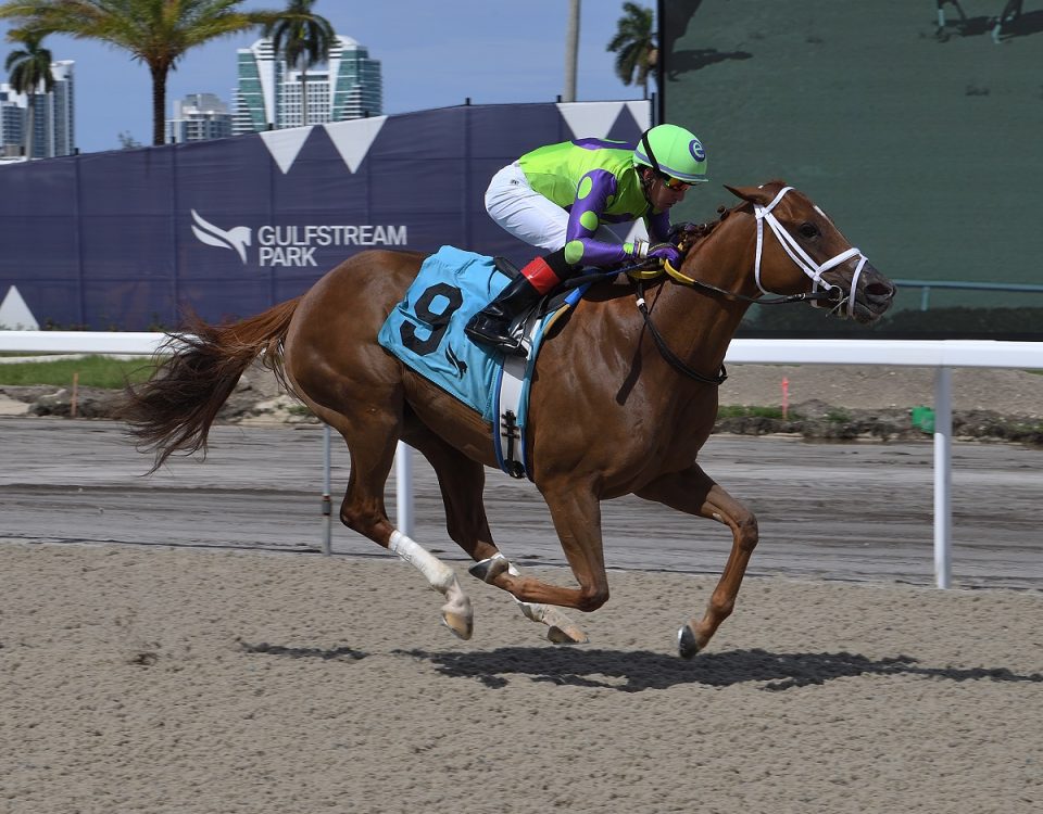 Transient - the Powder Break - credit Lauren King - Coglianese Photo