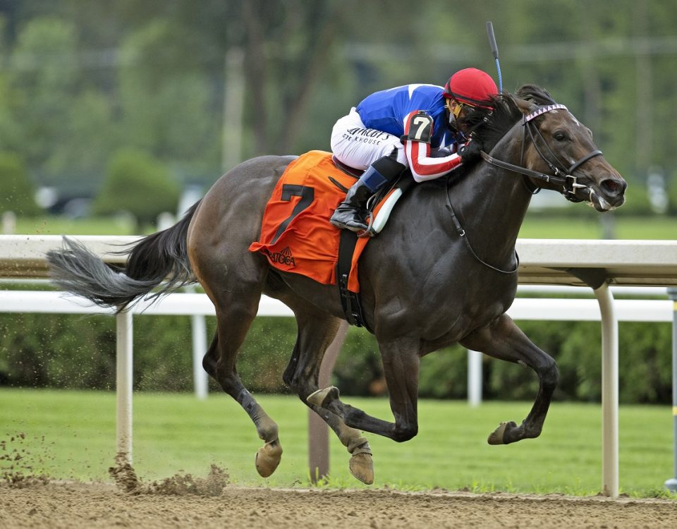 Unified Alliance - Coronation Cup S. - Barbara D. Livingston