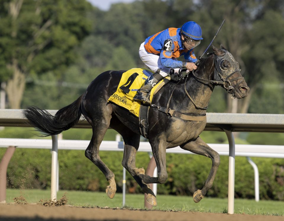 Yo Yo Candy: The Stanford G3 : Foto: Barbara Livingston - Daily Racing Form