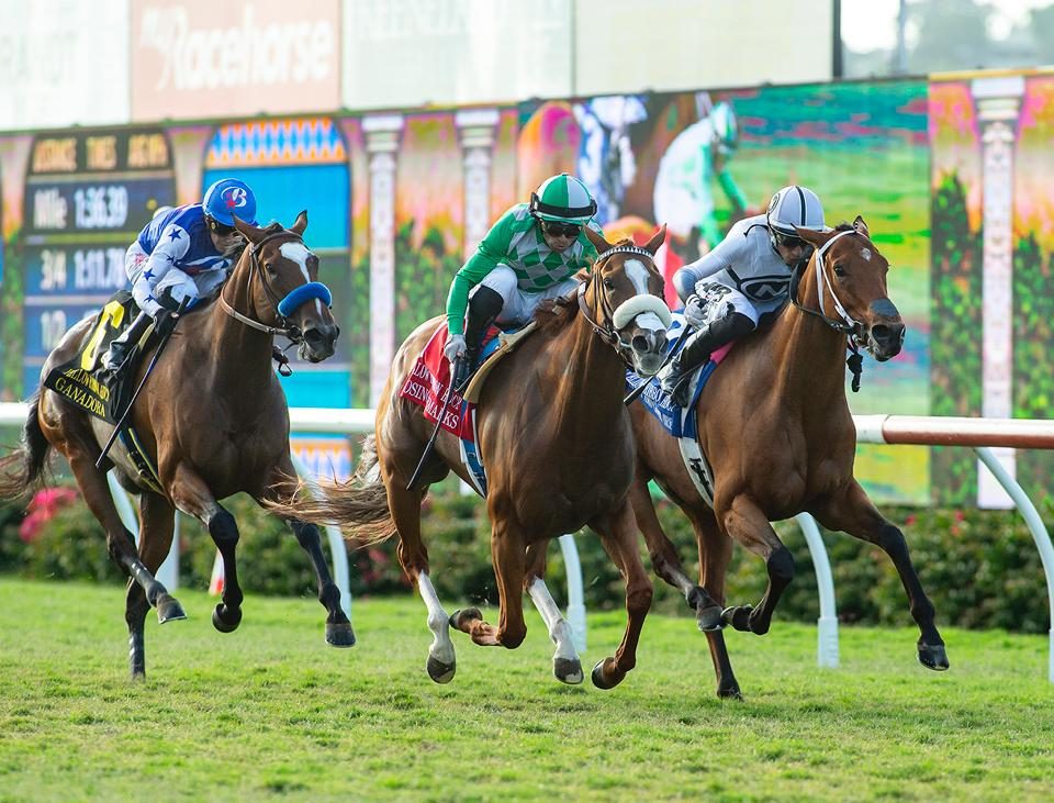 Closing Remarks - Yellow Ribbon G2 - Del Mar - Benoit Photo