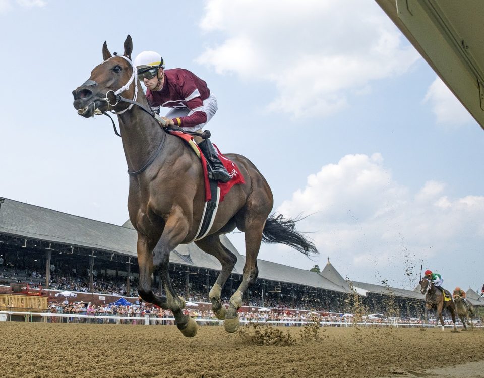 Echo Zulu - Beyer 112 - Foto Barbara Livingston - DRF