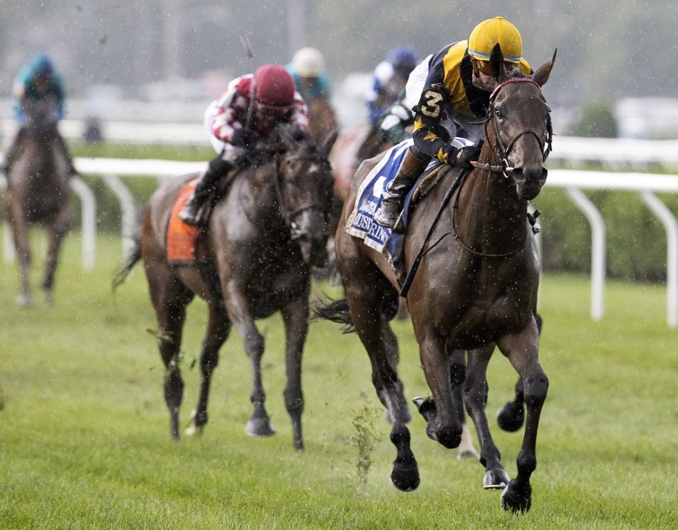 Elusive Princess - Saratoga Oaks - Barbara D. Livingston