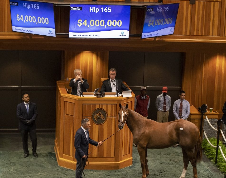 Hip 165 Curlin-Beholder - Barbara D. Livingston