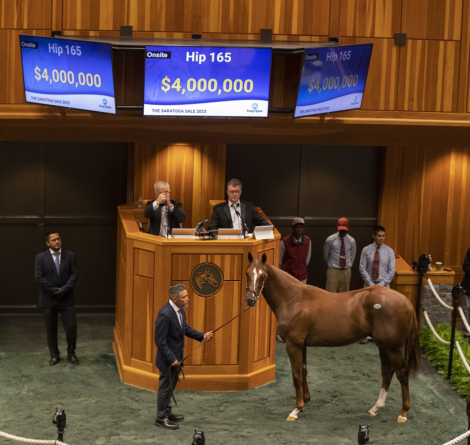 Hip 165 Curlin-Beholder - Barbara D. Livingston