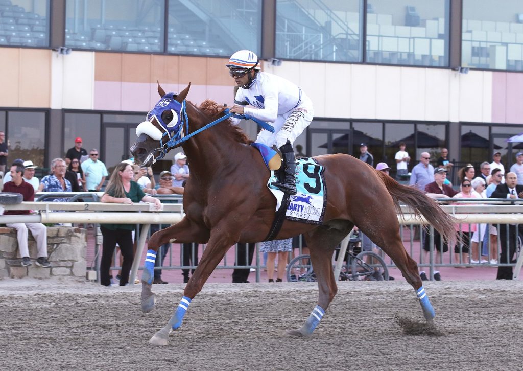 Il Miracolo - Smarty Jones S. - Bill Denver/EQUI-PHOTO