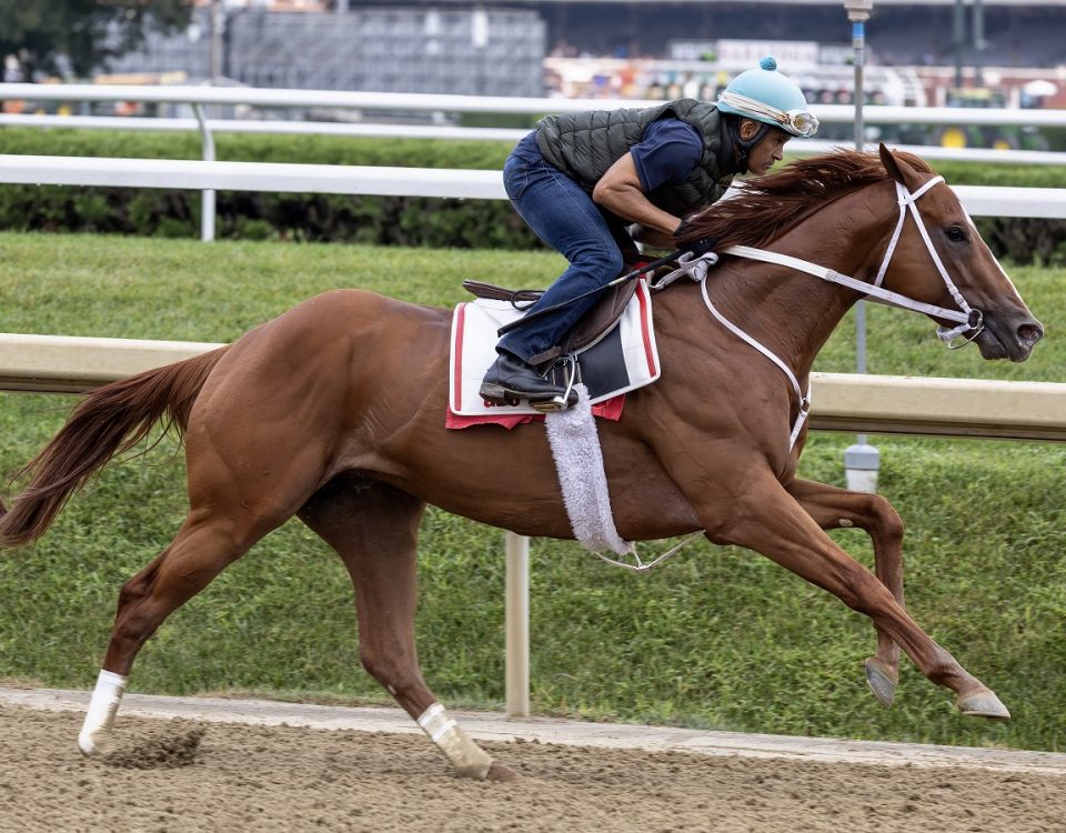 Mage - Saratoga Workout - Debra A. Roma