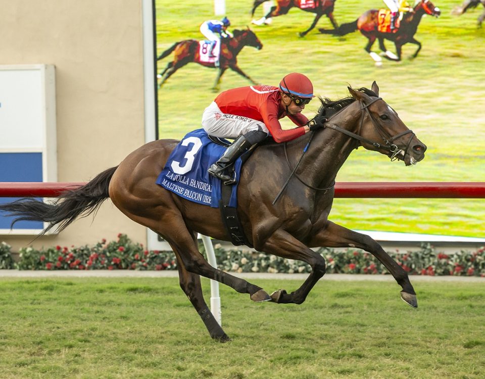 Maltese Falcon - La Jolla Handicap - Benoit Photo