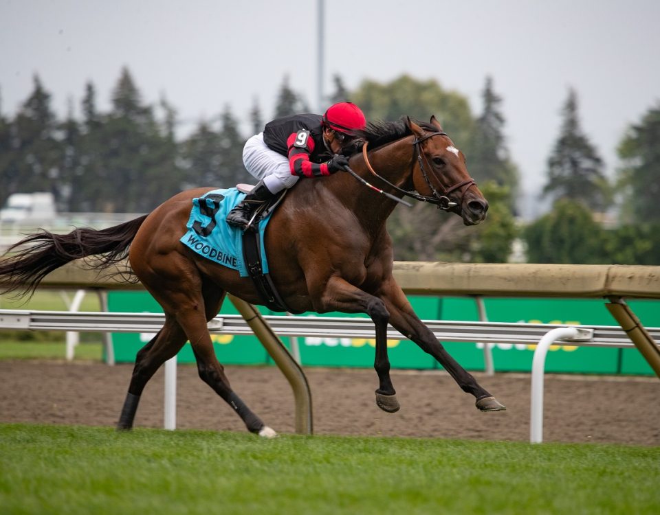 Miss Dracarys - Dance Smartly S. - Julie Wright