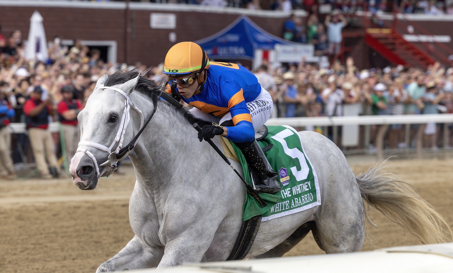 White Abarrio estuvo soberbio en el Whitney Stakes G1 DRF en Español