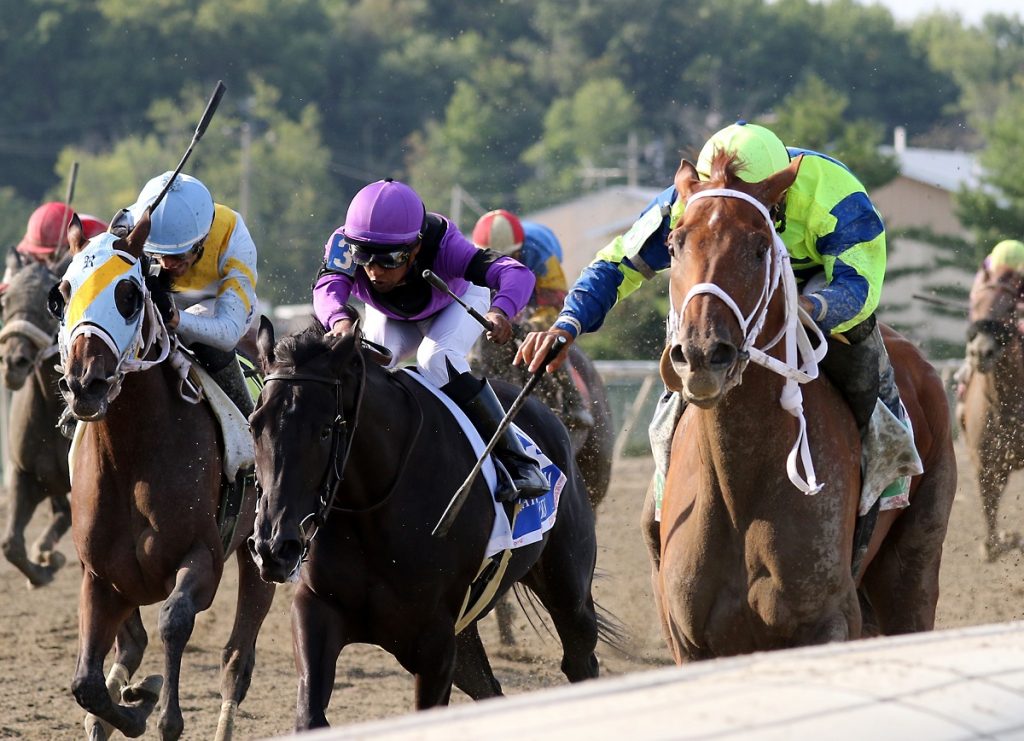 Bill Denver-EQUI-PHOTO - Parx Racing