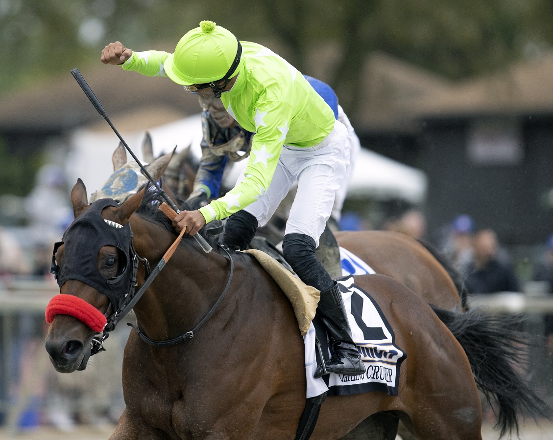Ceiling Crusher reinó en el Cotillion Stakes G1 DRF en Español