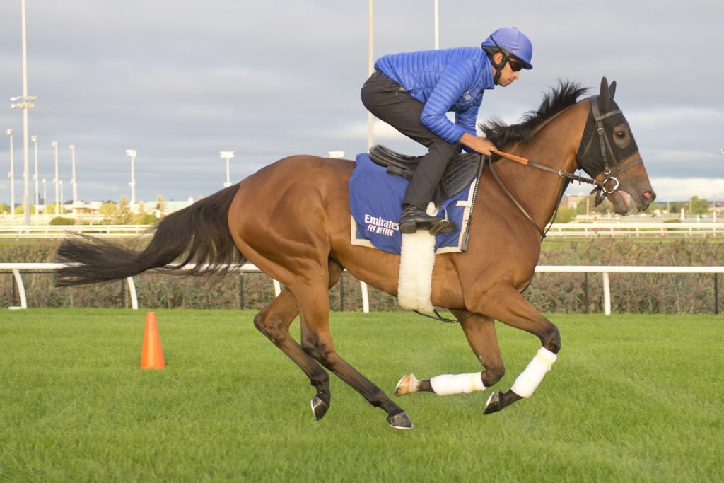 Master of The Seas - Woodbine - Michael Burns