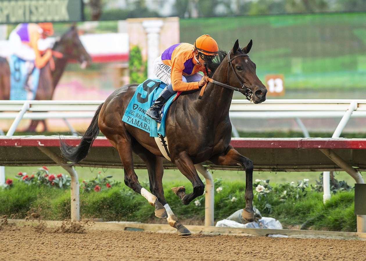 Tamara al estilo de Beholder se impuso en el Del Mar Debutante G1 DRF