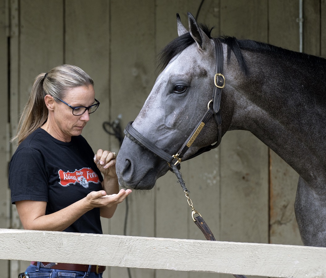 Probables y posibles candidatos para la Breeders’ Cup Classic DRF en