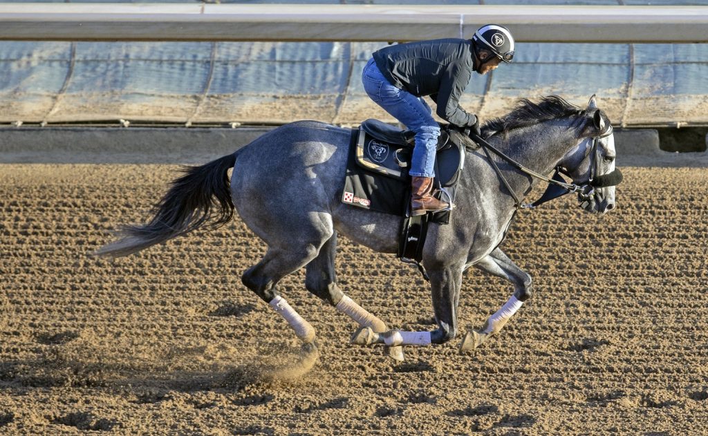 Arcangelo en Santa Anita Park - Foto Barbara Livingston DRF