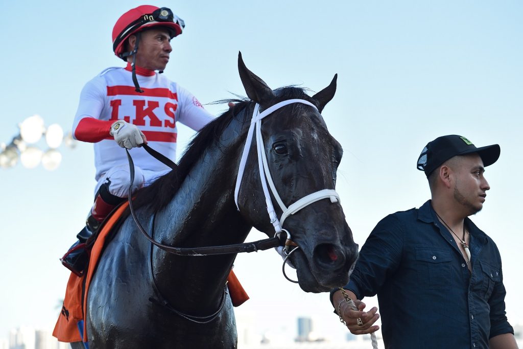 Bentornato the FSS Affirmed credit Ryan Thompson - Coglianese Photo