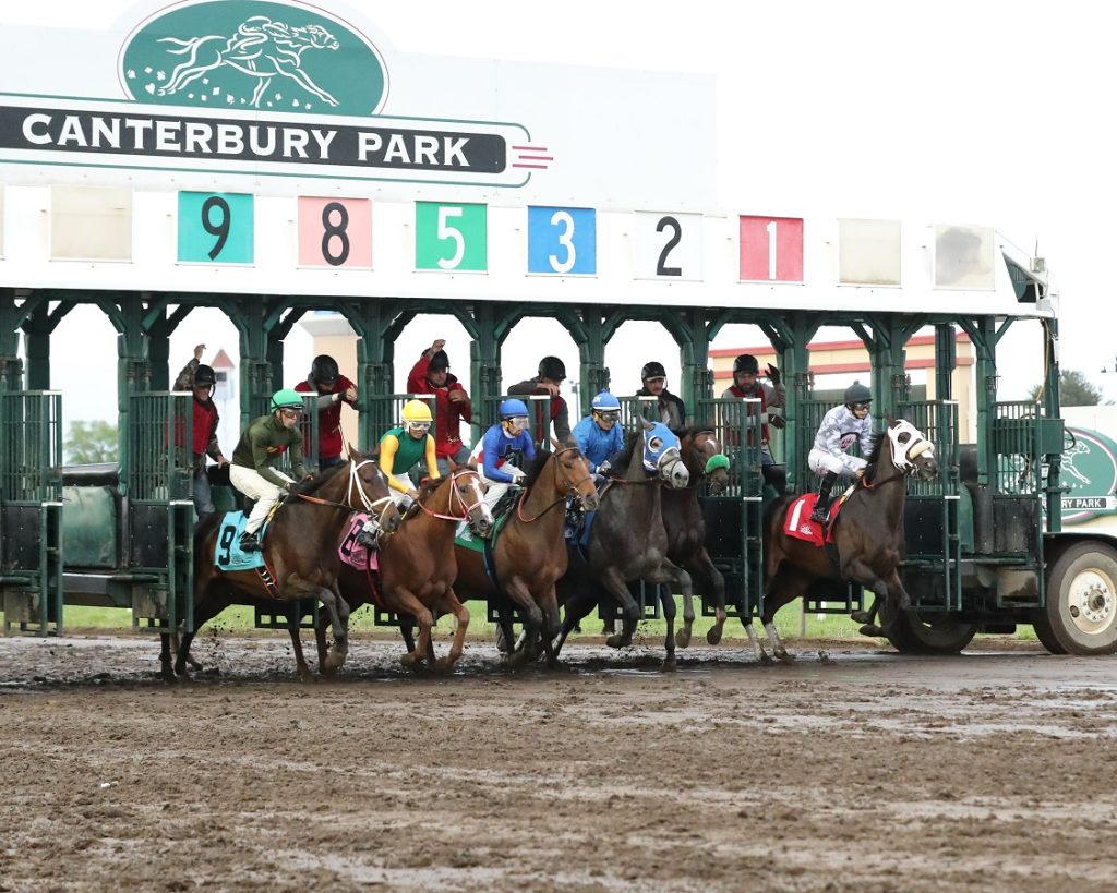 Canterbury Park - Start - Coady Photography