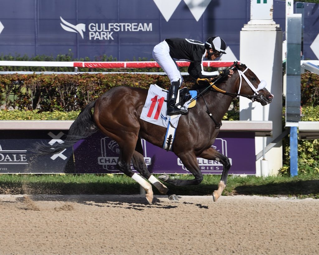 R Harper Rose the FSS Susans Girl credit Lauren King - Coglianese Photo