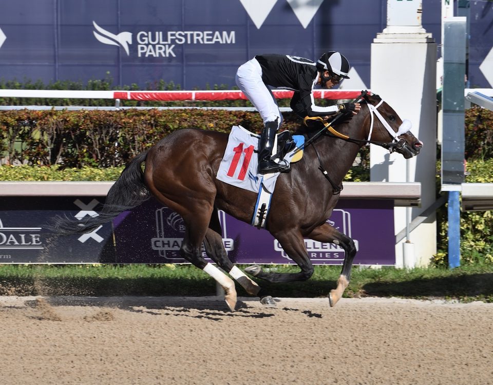 R Harper Rose the FSS Susans Girl credit Lauren King - Coglianese Photo