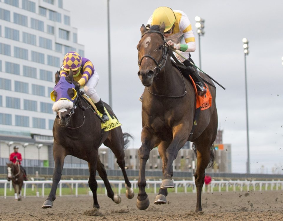 Touch'n Ride - Ontario Derby - Michael Burns