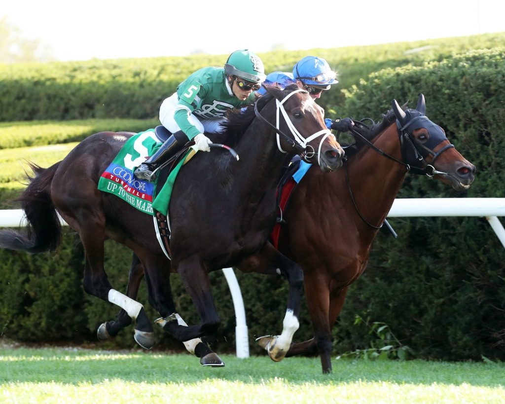 Up to the Mark - Coolmore Turf Mile - Renee Torbit