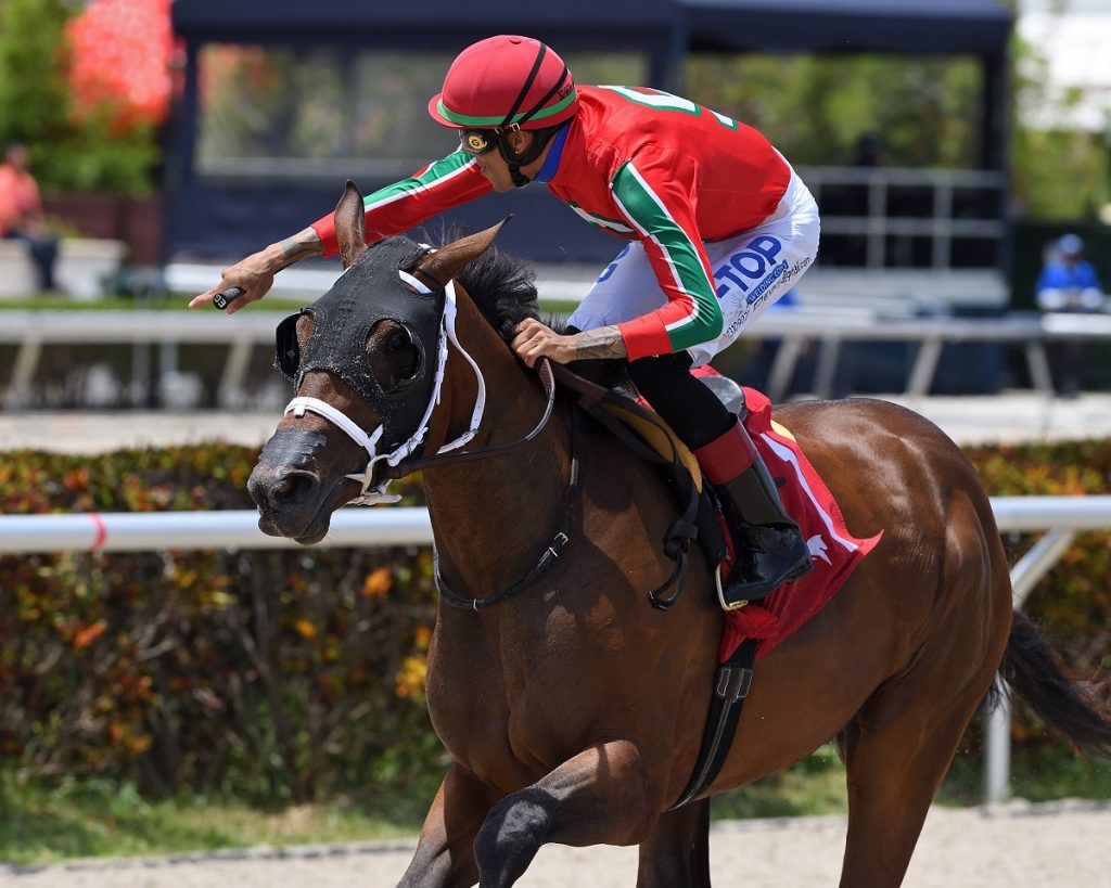 Welcome Back credit Ryan Thompson - Coglianese Photo