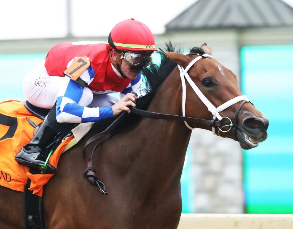 YOUALMOSTHADME - The Myrtlewood - 4th Running - Keeneland Race Course - Coady Photo - Jetta Vaughns