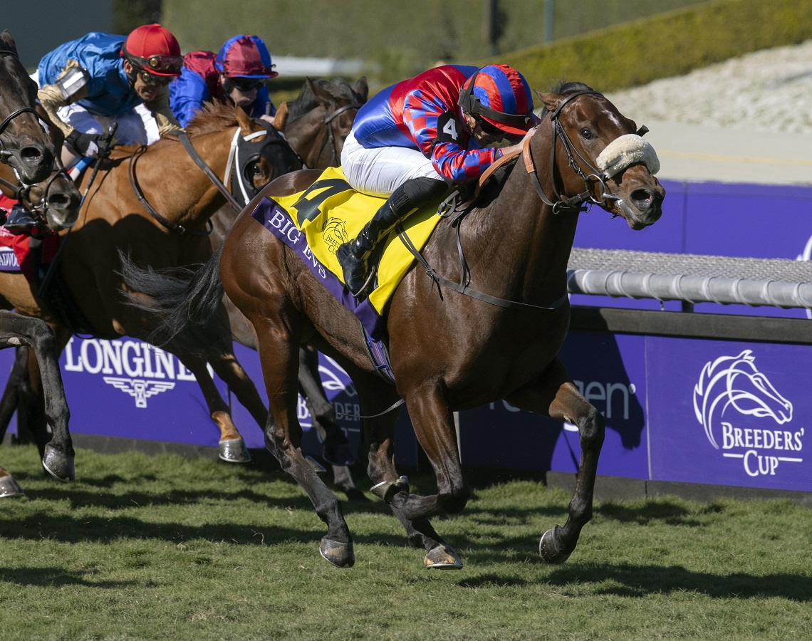 Big Evs respondió en la Breeders’ Cup Juvenile Turf Sprint G1T DRF en