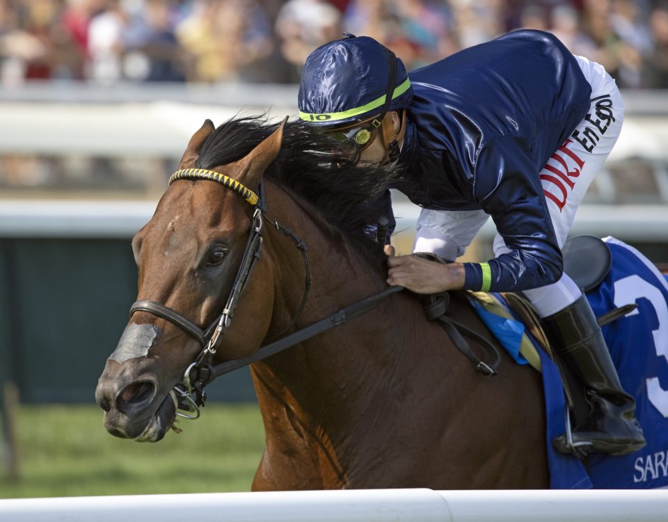 Golden Pal - Debbie Roma - Daily Racing Form