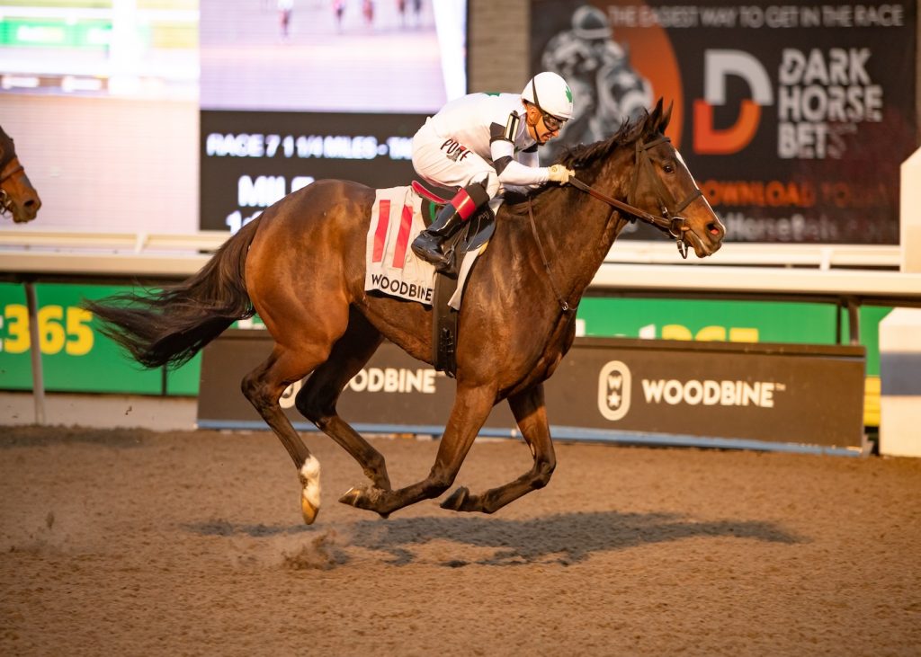 Millie Girl - Maple Leaf Stakes G3 - Credit Michael Burns - Woodbine