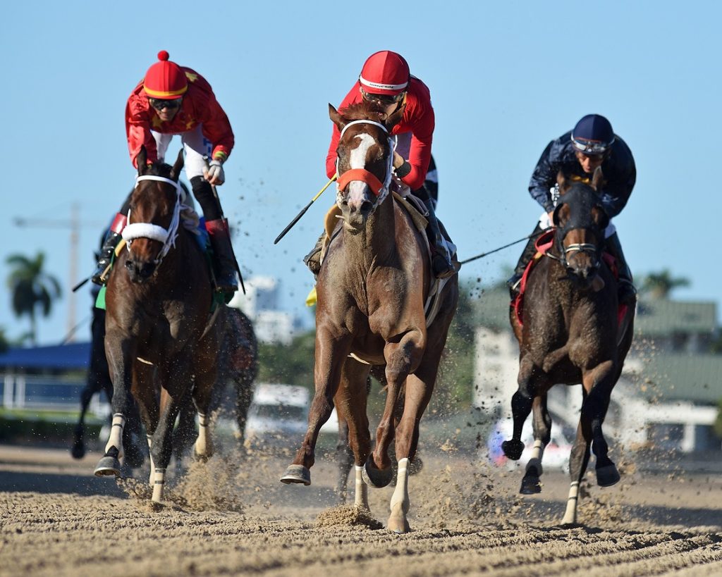 Squints - Juvenile Sprint - Ryan Thompson